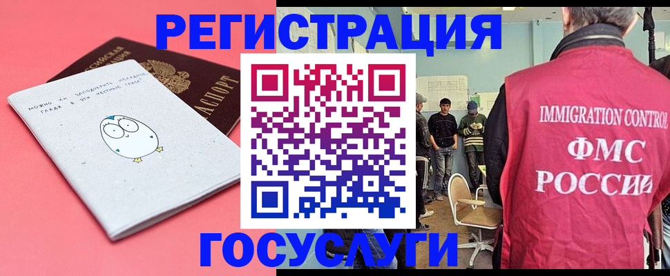 найти адрес прописки в Елизово