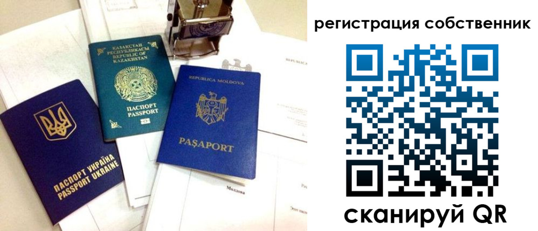 временная регистрация поиск в Елизово