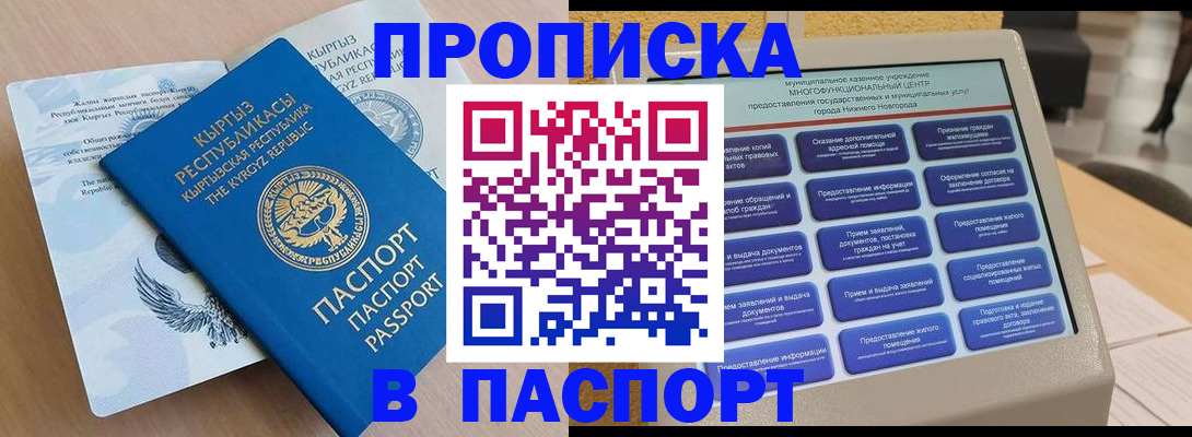 регистрация в Елизово